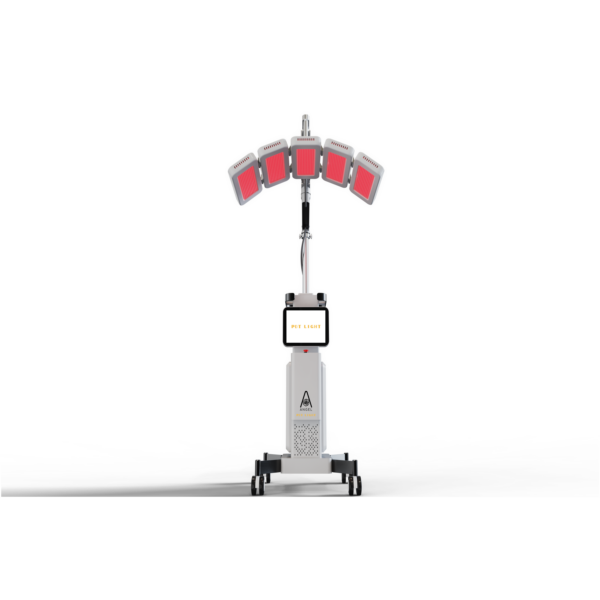 PDT Light - Image 2